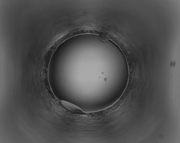 X0000091711207200708241238