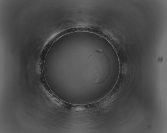 X0000091711208200708241238