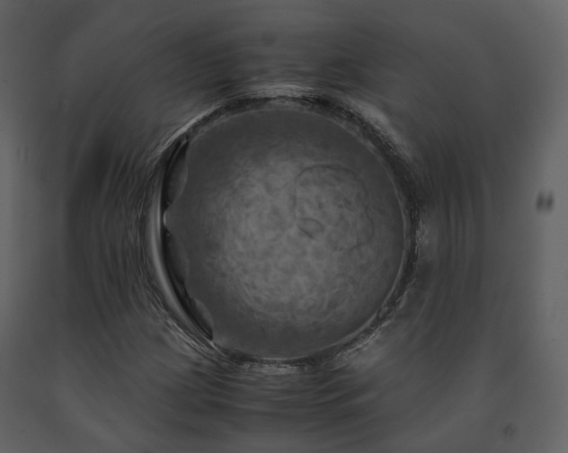 X0000091711209200708241238