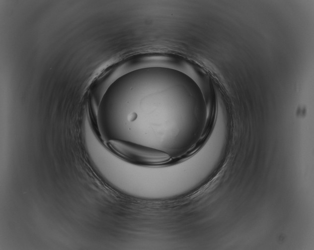 X0000091711210200708241238