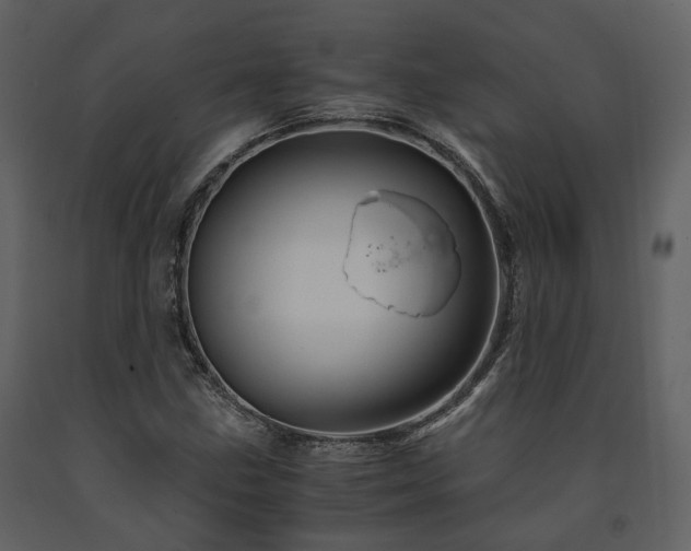 X0000091711211200708241238