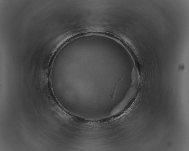 X0000091711212200708241238