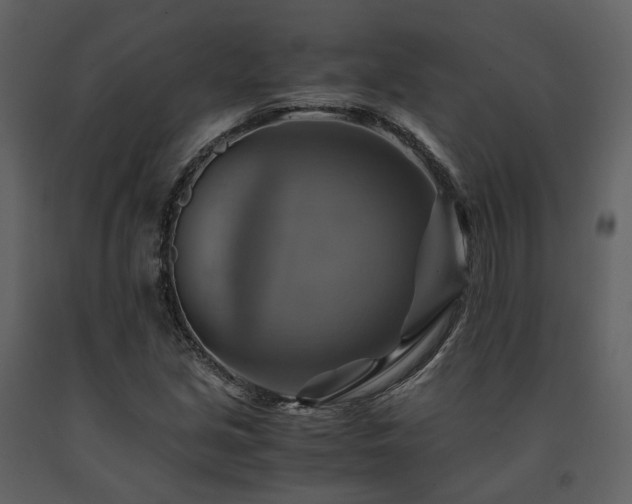 X0000091711213200708241238