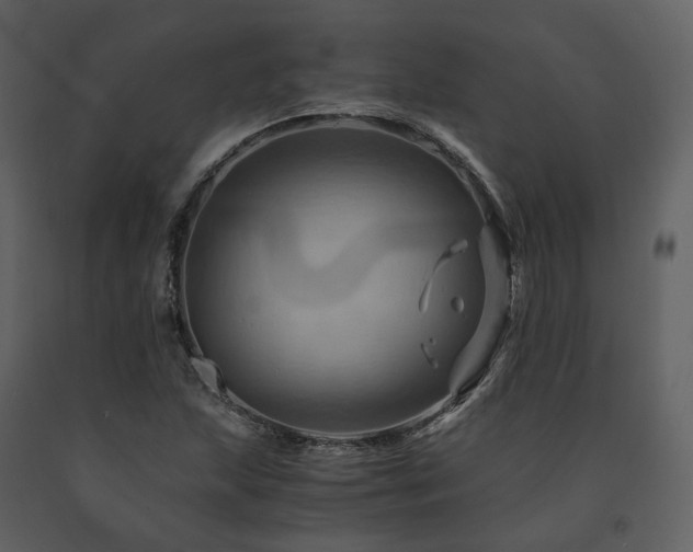 X0000091711215200708241239