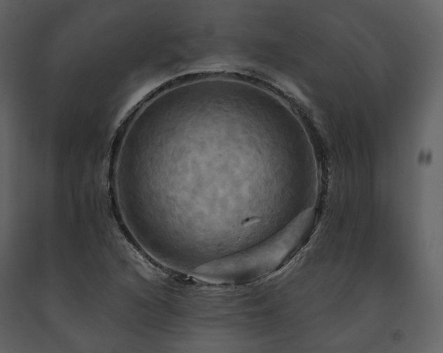 X0000091711216200708241239