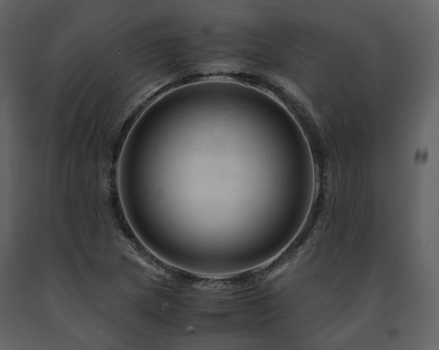 X0000091711217200708241239