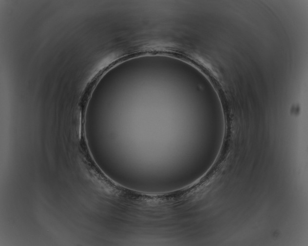 X0000091711219200708241239