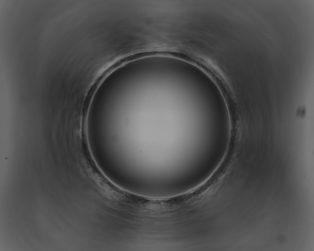 X0000091711220200708241239