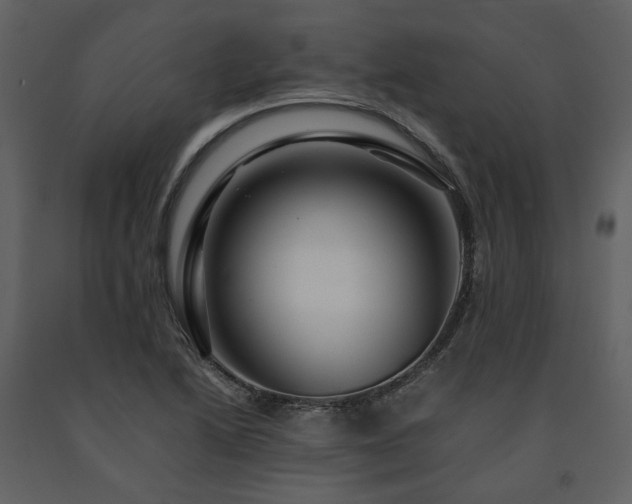 X0000091711222200708241239