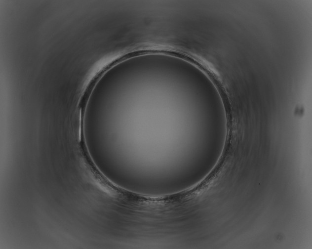 X0000091711223200708241239