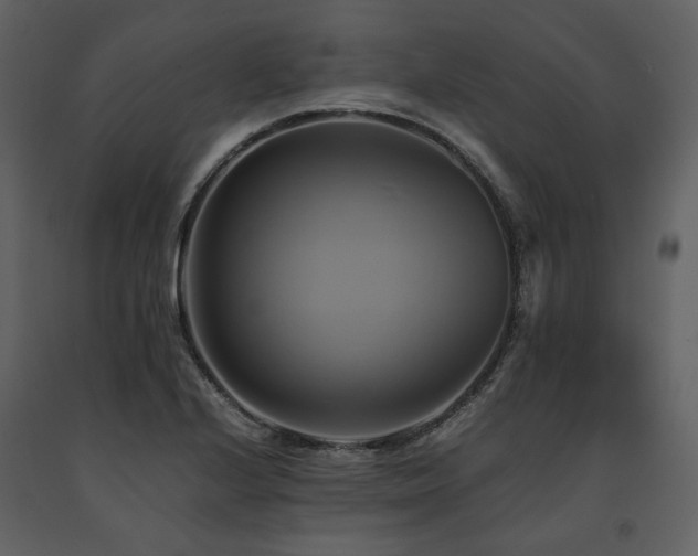 X0000091711224200708241239