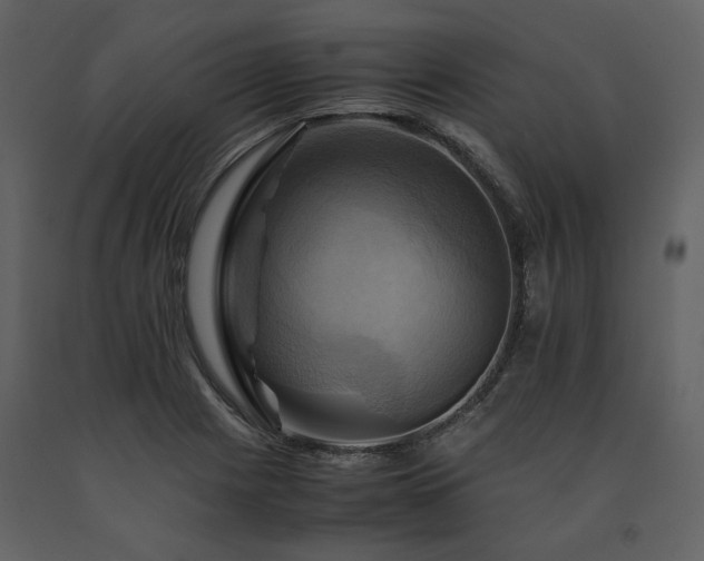 X0000091711225200708241239