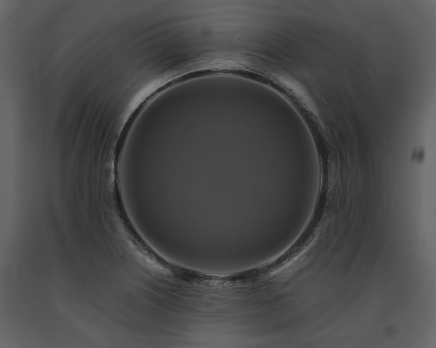 X0000091711226200708241239
