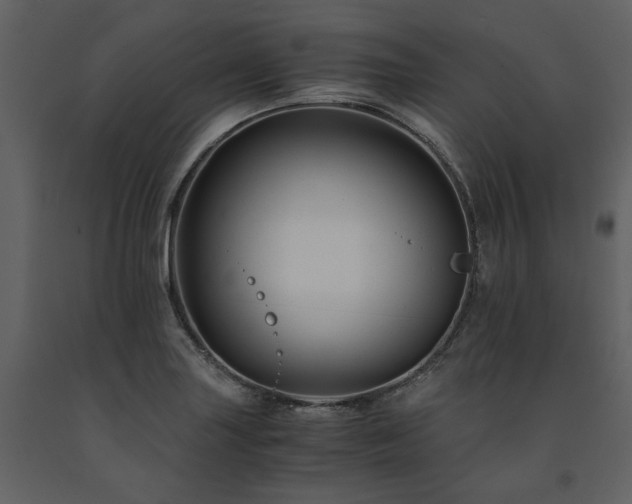 X0000091711227200708241239