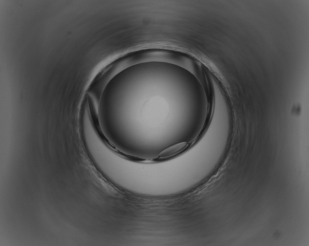 X0000091711230200708241239