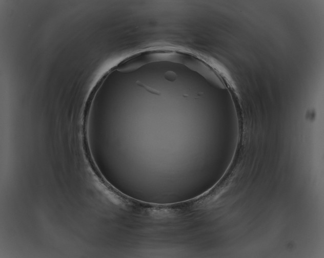 X0000091711231200708241239