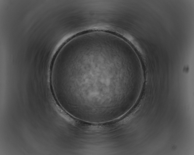 X0000091711232200708241239
