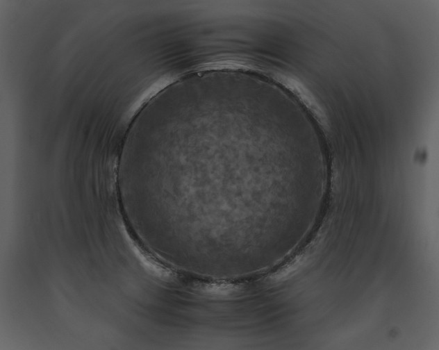 X0000091711233200708241239