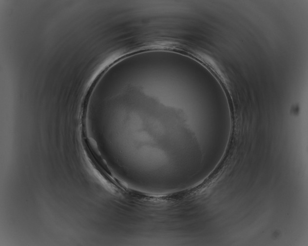 X0000091711235200708241239