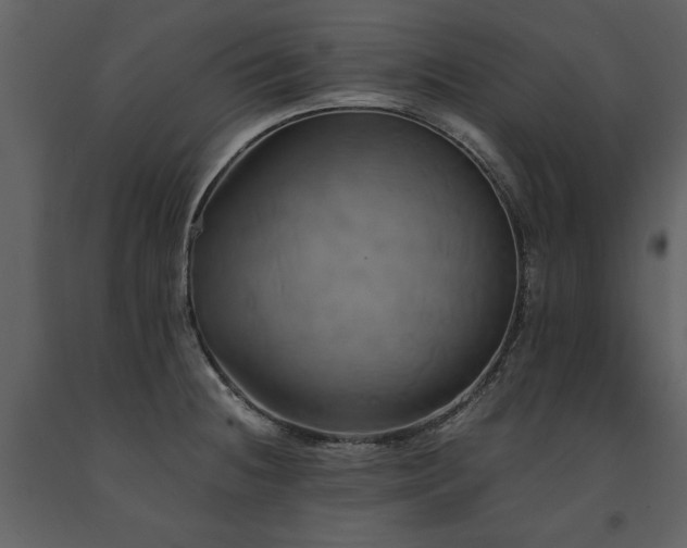 X0000091711236200708241239