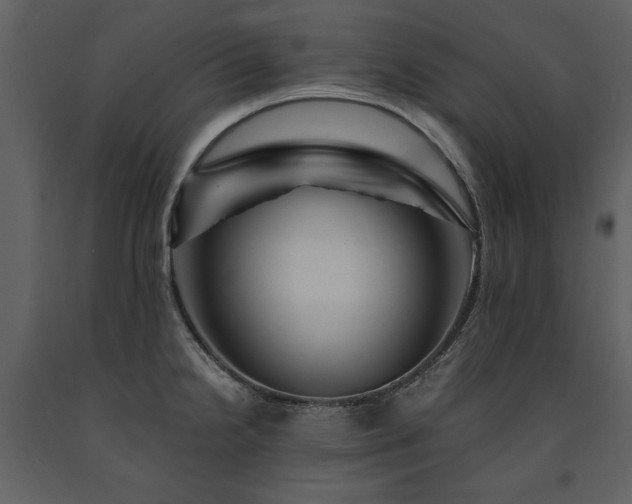 X0000091711238200708241239