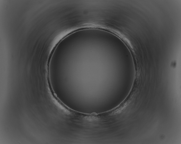 X0000091711239200708241239