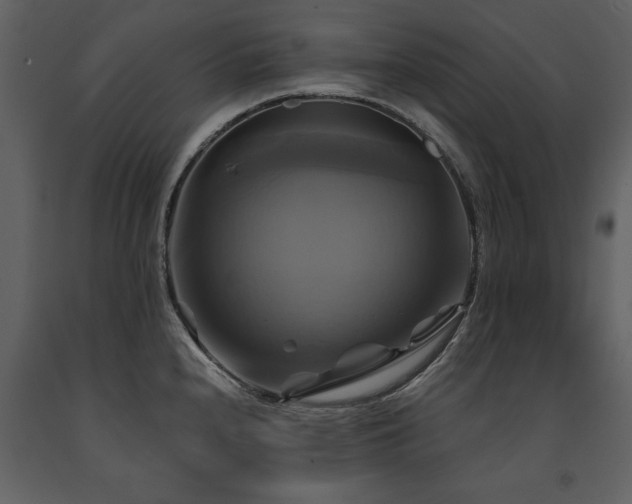 X0000091711240200708241239