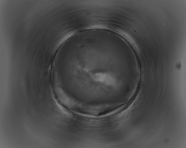 X0000091711241200708241239