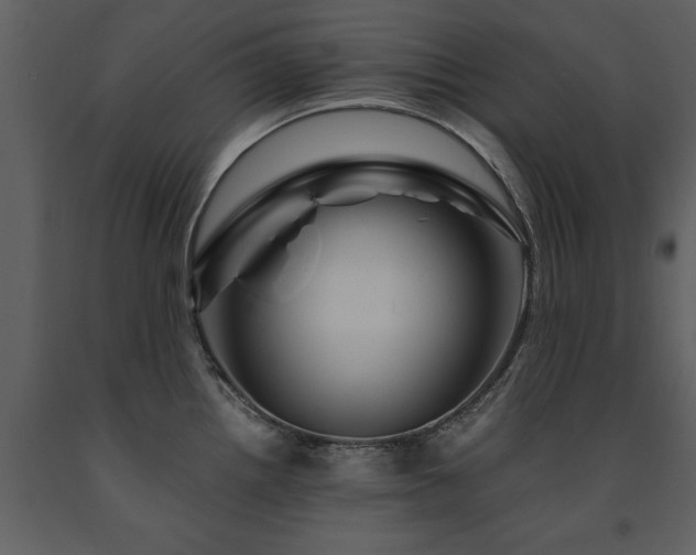 X0000091711242200708241239