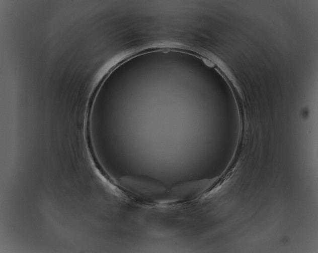 X0000091711245200708241239