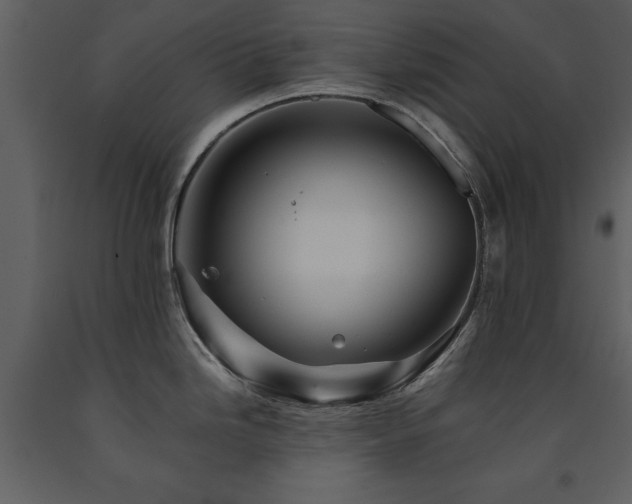 X0000091711246200708241239