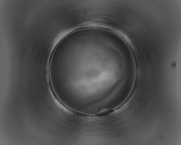 X0000091711247200708241239
