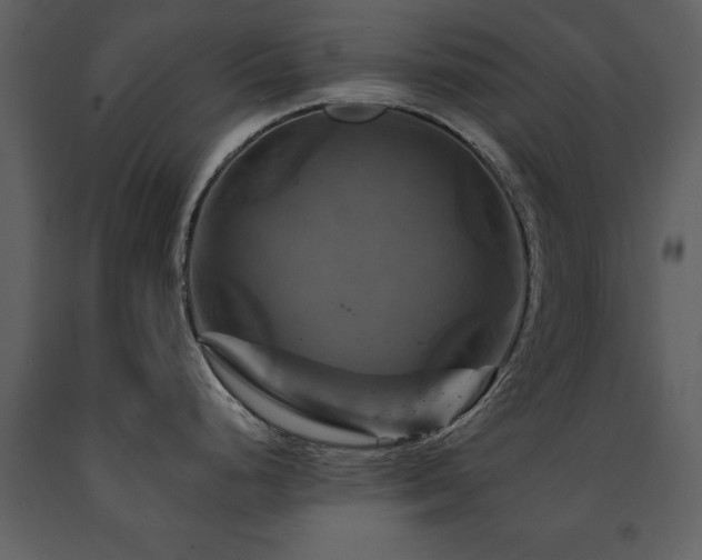 X0000091711248200708241239