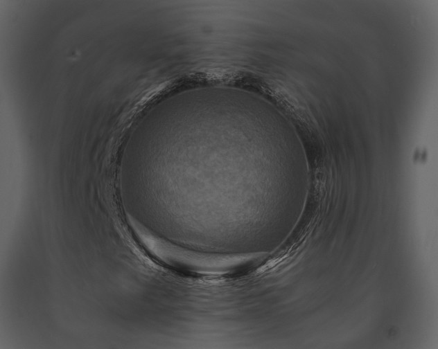 X0000091711249200708241238