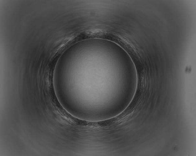 X0000091711250200708241238
