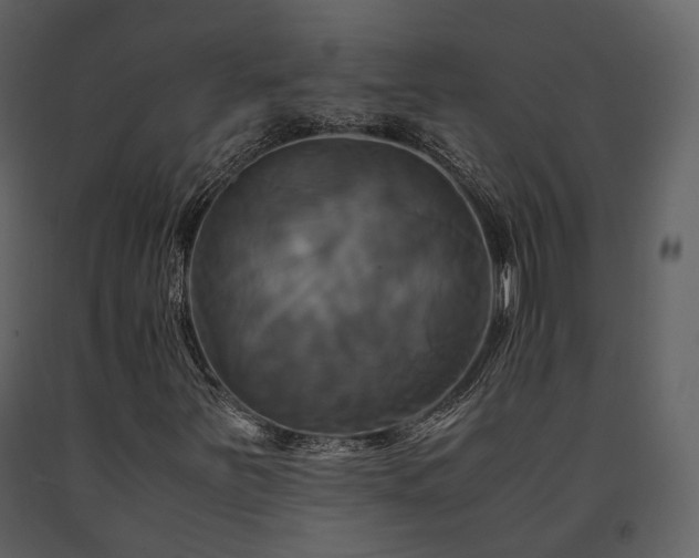 X0000091711251200708241238