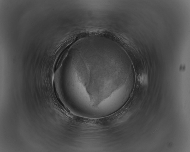 X0000091711252200708241238