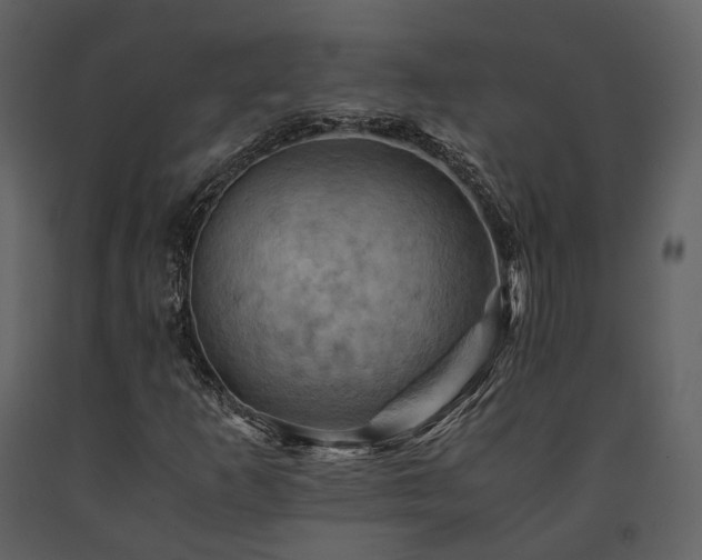 X0000091711253200708241238