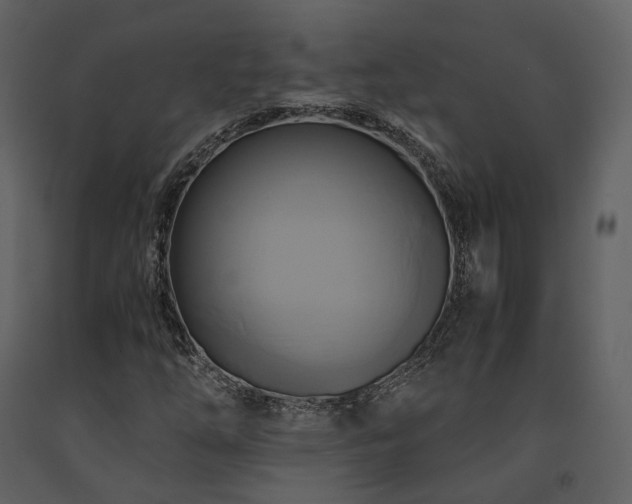 X0000091711254200708241238