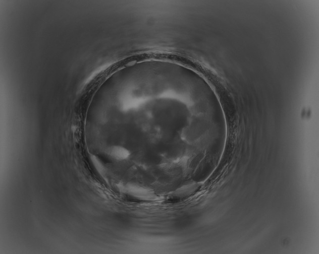 X0000091711255200708241238