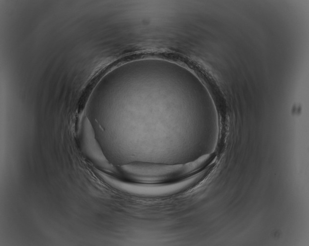 X0000091711257200708241238
