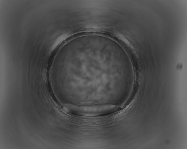 X0000091711259200708241238