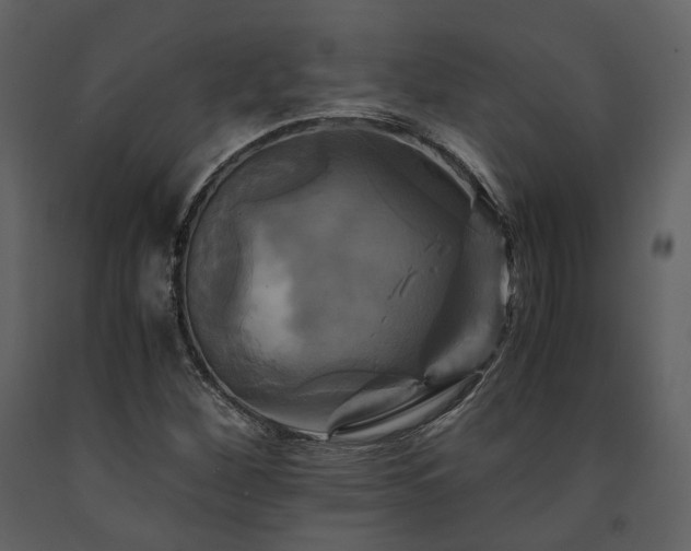 X0000091711260200708241238