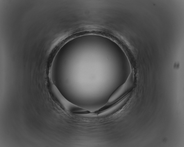 X0000091711261200708241238