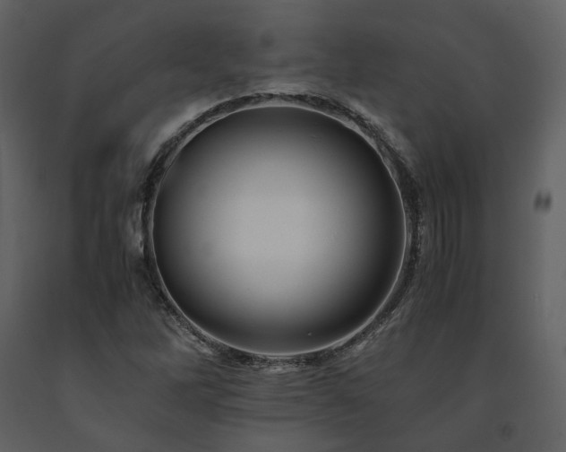 X0000091711262200708241238