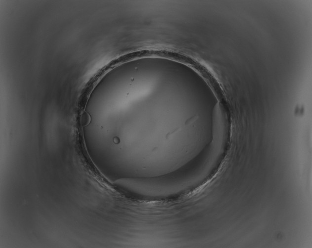 X0000091711263200708241238