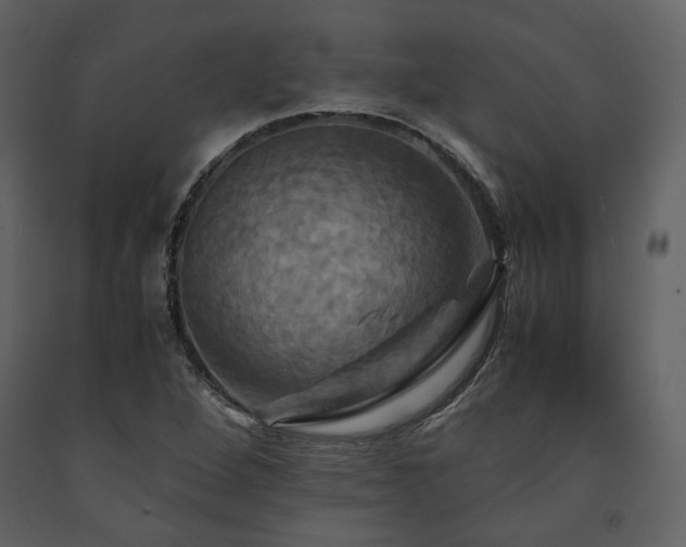 X0000091711264200708241238