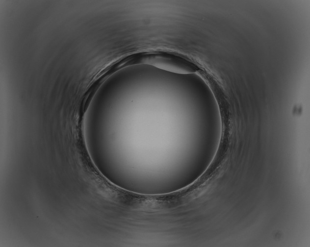 X0000091711265200708241238