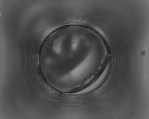 X0000091711267200708241238