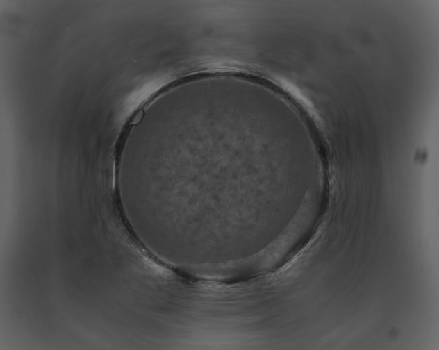 X0000091711269200708241238